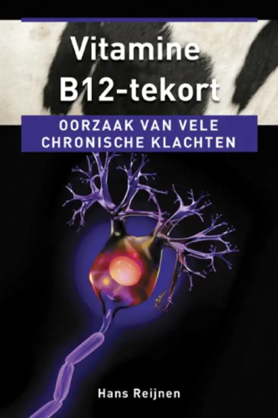 B12 1