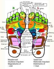 voetreflex2 Voetreflexzonetherapie - Natuurlijk gezond - Santura